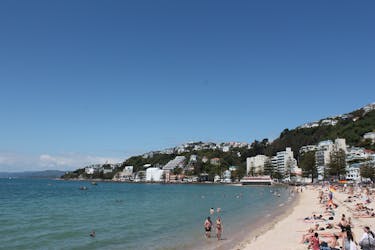 Visite privée d’une demi-journée panoramique à Wellington